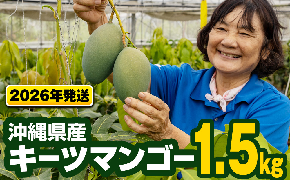 【2026年発送】沖縄県産キーツマンゴー1.5kg