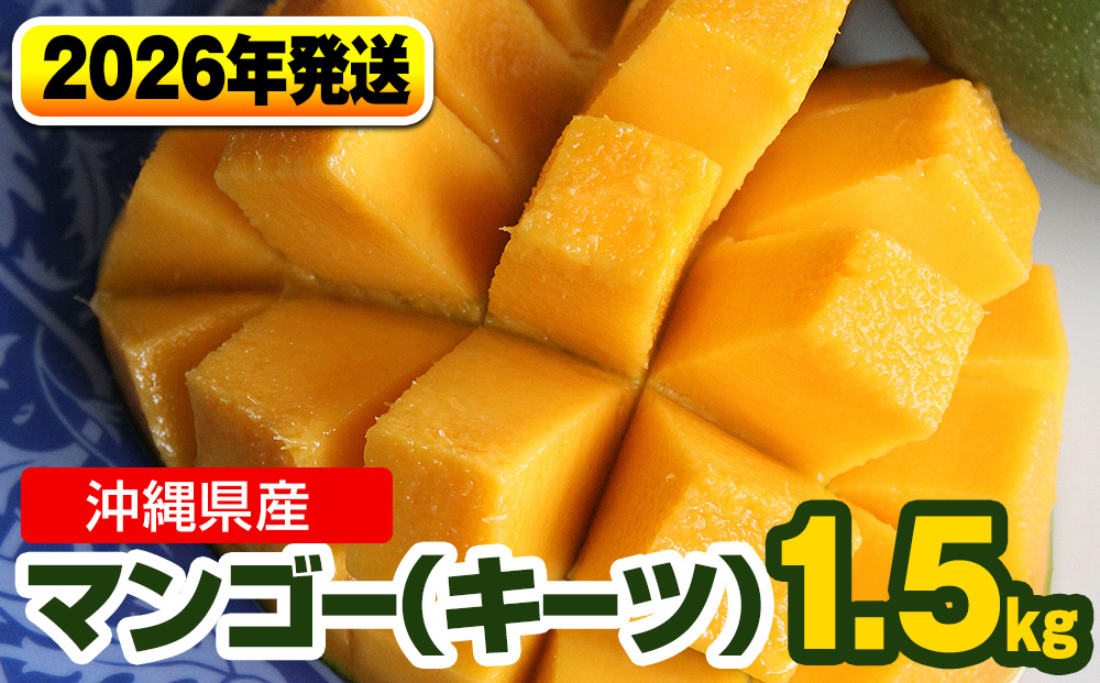 【2026年発送】南国の果物　沖縄県産マンゴー　キーツ　1.5kg