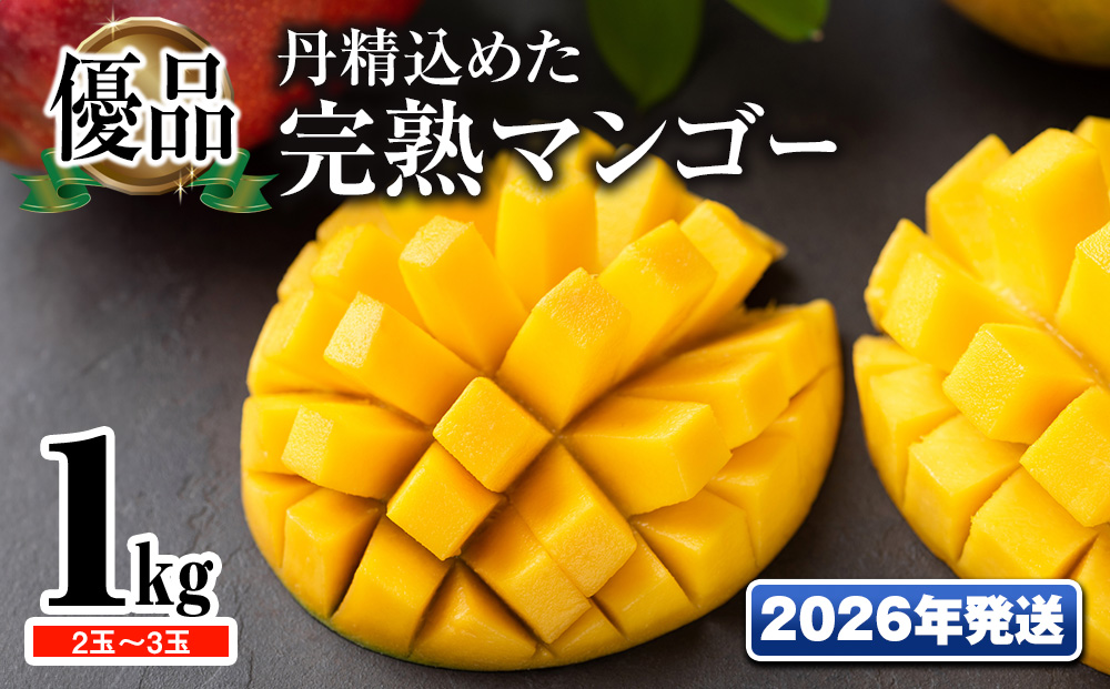 【2026年発送】「優品」丹精込めた完熟マンゴー1kg　2玉～3玉