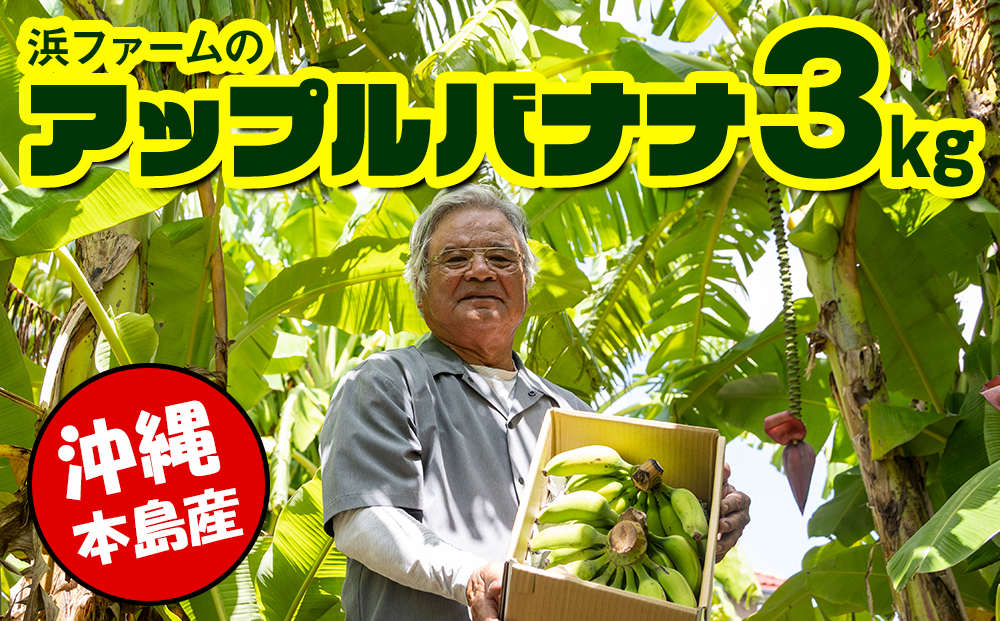 【沖縄本島産】浜ファームの「アップルバナナ」　3kg