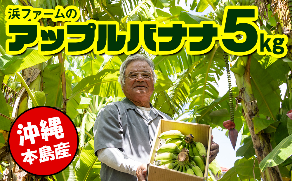 【沖縄本島産】浜ファームの「アップルバナナ」　5kg