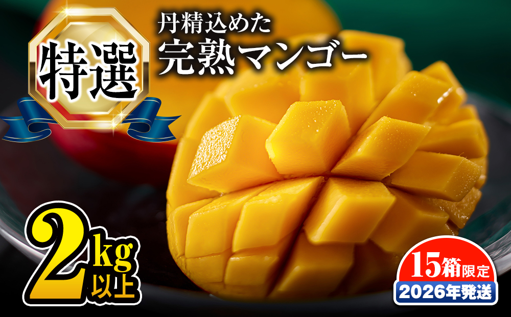 【2026年発送】「特選」丹精込めた完熟マンゴー2kg以上　4玉