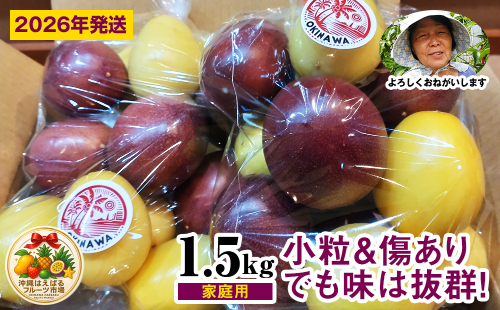 【2026年発送】パッションベビー食べ比べセット　家庭用1.5kg