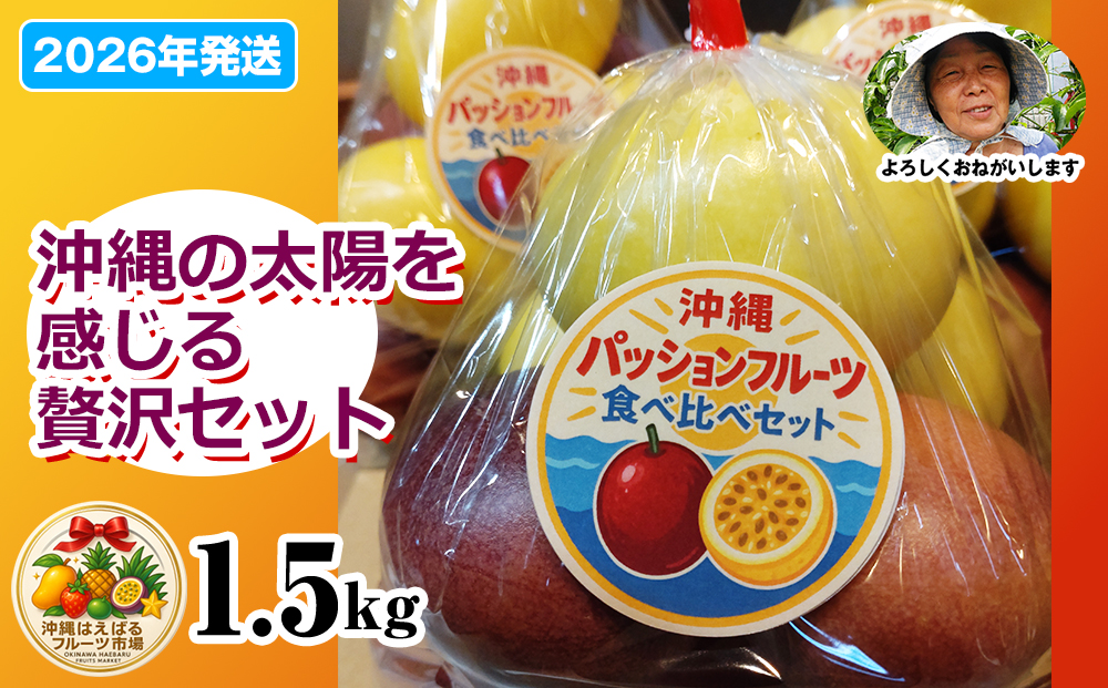 【2026年発送】沖縄からの贈り物　トロピカルジュエリーパッション1.5kg