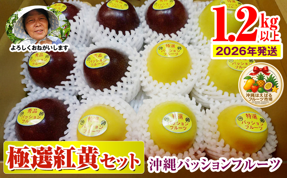 【2026年発送】沖縄パッションフルーツ　極選紅黄セット1.2kg以上