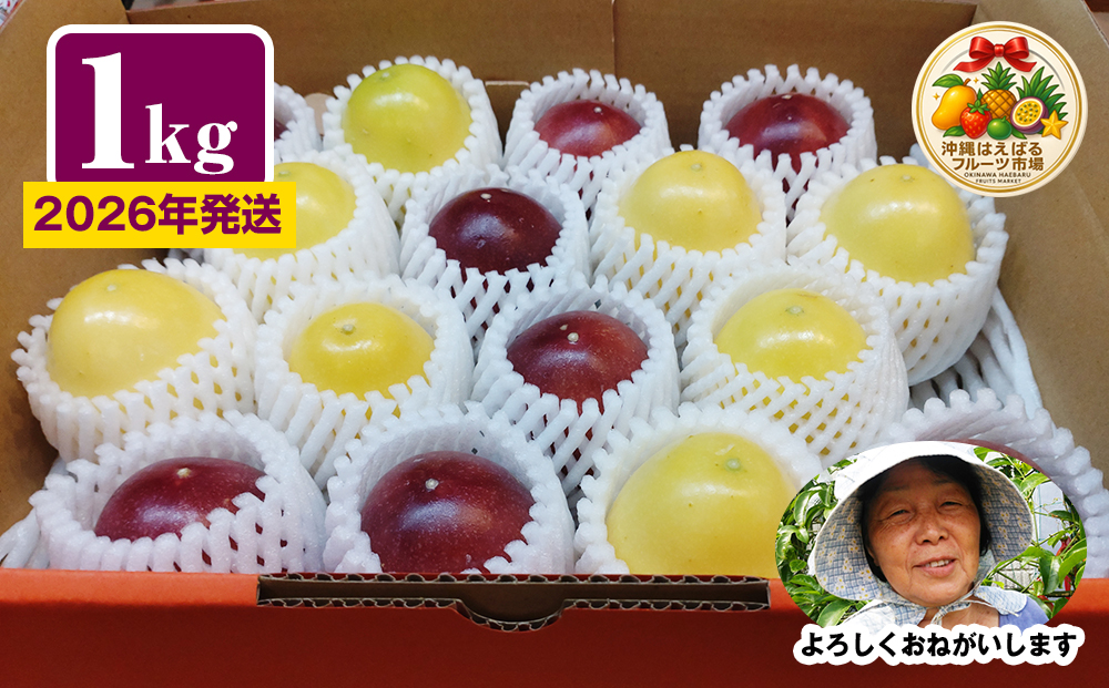 【2026年発送】沖縄からの贈り物　美らパッションの宝石箱1kg