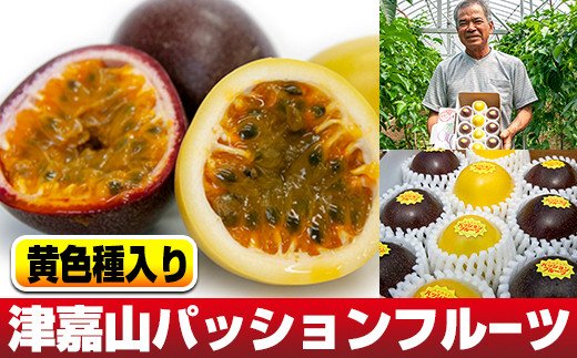 【2026年発送】津嘉山パッションフルーツ　黄色種入り　約1kg