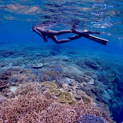 手ぶらでスノーケリング(1名様3時間コース)