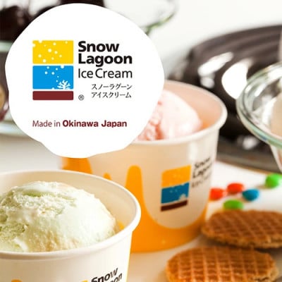 「伊平屋を愛し、アイスを愛す。」130ml×12個 アイスクリーム ジェラート【配送不可地域：離島】