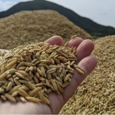 泡盛 てるしの島 25度 720ml