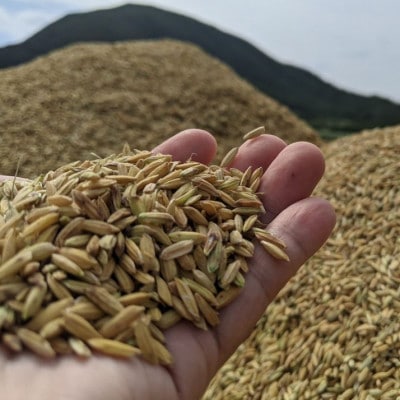 泡盛 てるしの島 25度 720ml 2本