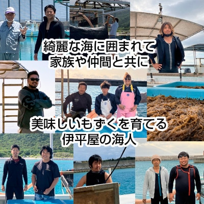 【収穫時期限定!】冷凍 生もずく　1kg(500g × 2パック)【配送不可地域：離島】