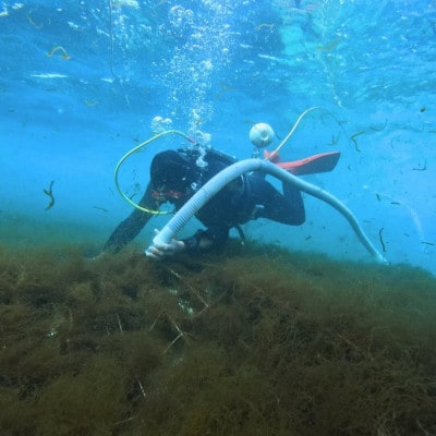 【海産物きむらや】伊平屋島産の味付もずく4P(60g×3個)＆生もずく270g×4袋【配送不可地域：離島】