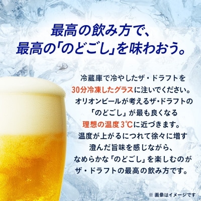 【毎月定期便】オリオンビール ザ・ドラフト(350ml×24缶)全6回