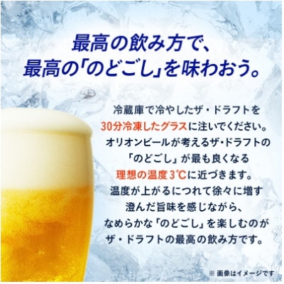 【毎月定期便】オリオンビール ザ・ドラフト(350ml×24缶)全3回