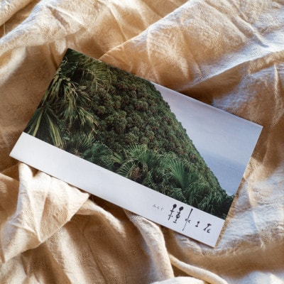 月桃ピアス　rope(SILVER)