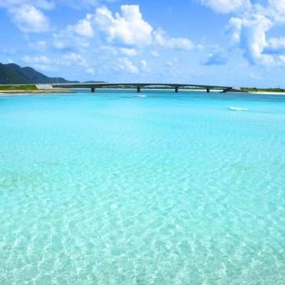 使い方色々の天然にがり大サイズ「海の幸」10リットル