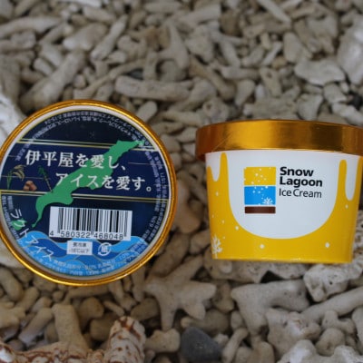 「伊平屋を愛し、アイスを愛す。」130ml×12個 アイスクリーム ジェラート【配送不可地域：離島】