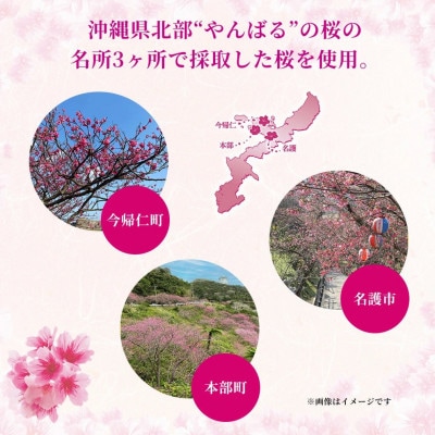 【期間限定・専用ギフト箱入り】オリオンビール オリオン いちばん桜(350ml×12本)