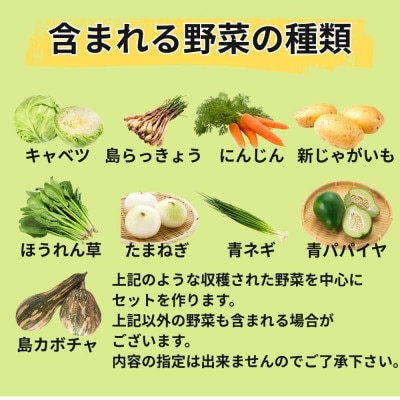 島で採れた新鮮野菜詰め合わせセット(4～6品目)【配送不可地域：離島】