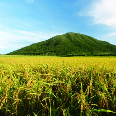 泡盛 てるしの島 25度 720ml