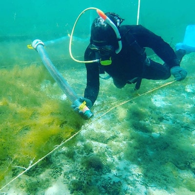 【収穫時期限定!】冷凍 生もずく　1kg(500g × 2パック)【配送不可地域：離島】