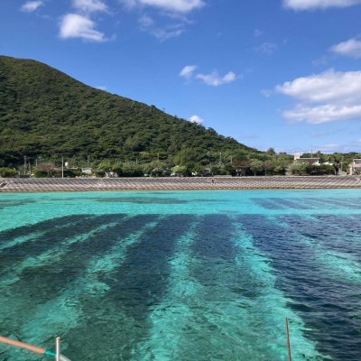 【海産物きむらや】沖縄県伊平屋島産の味付もずく24パック(1ヶ:60g×3パック)×8ヶ【配送不可地域：離島】