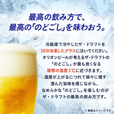 【毎月定期便】オリオンビール ザ・ドラフト(350ml×24缶)全6回