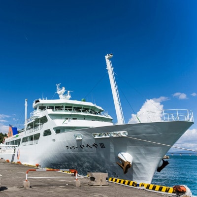 いへやじゅうてー ポロシャツ XLサイズ