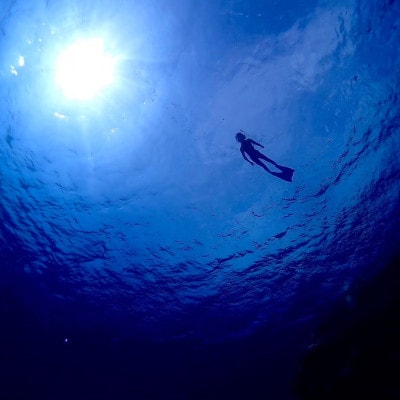 スキンダイビング(1名様2時間コース)