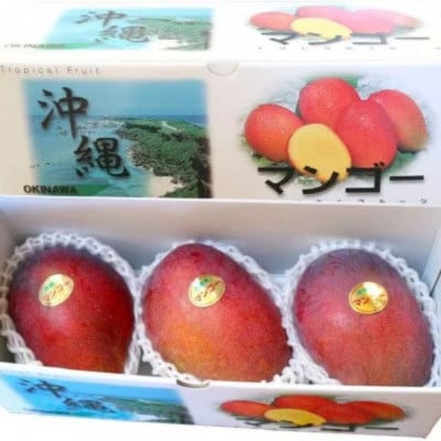 【2026年7月頃発送】離島の恵み　完熟マンゴー1.0kg【配送不可地域：離島】