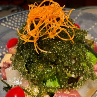 ぷちぷち濃厚 伊平屋の「生」海ぶどう 100g×3パック