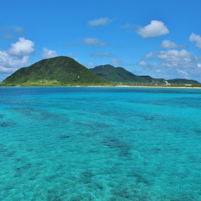 地元民から人気の名店 幸ちゃんそば もずく生麺 食べ比べ8食セット【配送不可地域：離島】