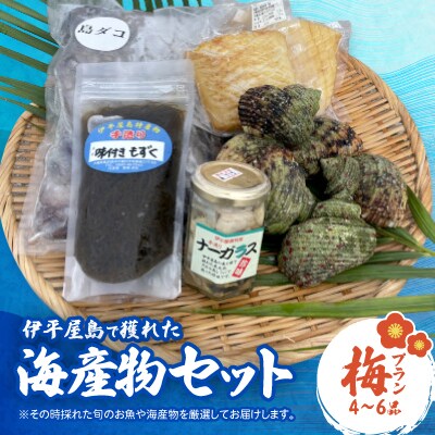 伊平屋島で獲れた海産物セット 梅プラン(4～6品)【配送不可地域：離島】