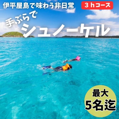 【貸し切りプラン】手ぶらでシュノーケル(3～5名様/3時間コース)