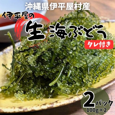 ぷちぷち濃厚 伊平屋の「生」海ぶどう 100g×2パック
