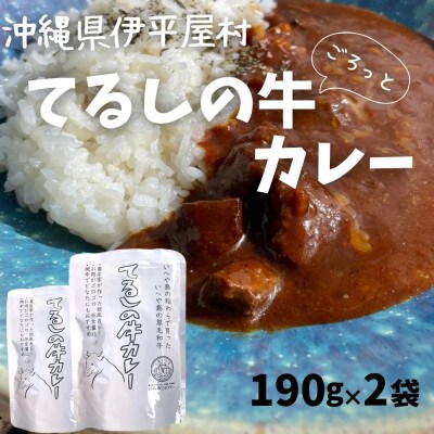 てるしの牛カレー ゴロっとお肉とデミグラソース入り 子どもにも美味しい欧州カレー