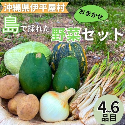 島で採れた新鮮野菜詰め合わせセット(4～6品目)【配送不可地域：離島】