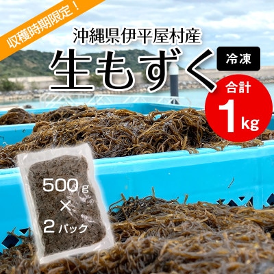 【収穫時期限定!】冷凍 生もずく　1kg(500g × 2パック)【配送不可地域：離島】