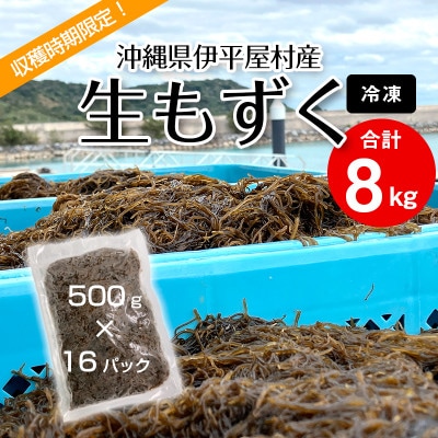 【収穫時期限定!】冷凍 生もずく　8kg(500g × 16パック)【配送不可地域：離島】