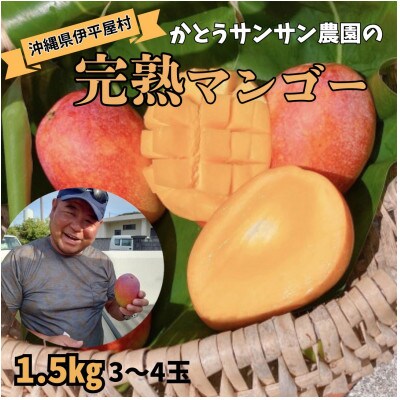 【2026年7月頃発送】離島の恵み　完熟マンゴー1.5kg【配送不可地域：離島】