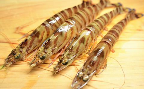 【訳アリ】活き〆急速冷凍車エビ（生食可・約800g）- 海老 車えび 車海老 冷凍 生エビ 国産 養殖 えび天 エビフライ 塩焼き 人気 沖縄県 八重瀬町 約800g（20～40尾前後）¥20,000