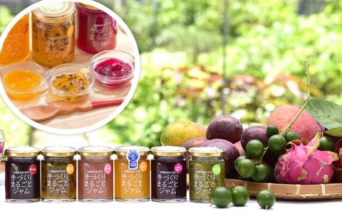 【2ヶ月に1度の定期便：全3回】しらかわファームの手づくりまるごとジャム6種 - 手づくり 6個 詰め合わせ セット 定期便 隔月 3回お届け マンゴー ドラゴンフルーツ 秋ミカン カーブチー グアバ ローゼル ハイビスカス パッション 南国 手作り 果実100％ おすすめ 沖縄県 八重瀬町