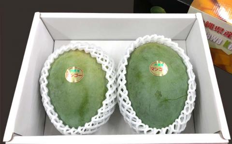 【先行受付】【2026年発送】ヤマト農園 キーツマンゴー約1.5kg - 産地直送 沖縄産 国産 果物 フルーツ 南国フルーツ 旬の味覚 追熟 先行予約 希少種 人気 おすすめ 送料無料 沖縄県 八重瀬町