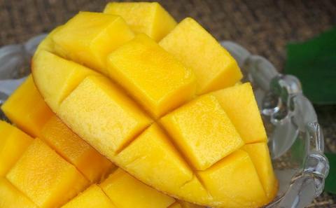 【先行受付】【2026年発送】屋宜原農園が丹精込めた「アップルマンゴー」秀約1kg - 先行予約 沖縄県産 産地直送 南国フルーツ 旬の味覚 旬のフルーツ 贈り物 ギフト 沖縄県 八重瀬町