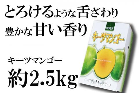 【先行受付】【2026年発送】神谷ファームのキーツマンゴー 約2.5kg - 先行予約 沖縄県産 産地直送 南国フルーツ 旬の味覚 季節の果物 希少種 贈り物 ギフト 沖縄県 八重瀬町