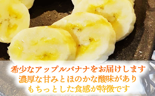 【希少栽培種】あかみね熱帯フルーツのアップルバナナ約3kg - 国産 希少種 フレッシュ 小ぶり 食べやすい おすすめ 沖縄県 八重瀬町