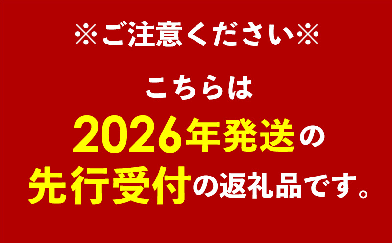 【先行受付】【2026年発送】南国フーズのアップルマンゴー 訳アリ約1.5kg - 先行予約 沖縄県産 産地直送 南国フルーツ 旬の味覚 ご家庭用 ご自宅用 沖縄マンゴー 沖縄県 八重瀬町