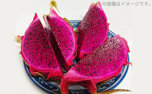 【2026年発送】熱帯果樹生産組合の完熟ドラゴンフルーツ 【レッドドラゴンフルーツ】　約2kg（3～7玉）- 赤 果肉 レッド ピタヤ スーパーフルーツ 先行受付 先行予約 人気 抗酸化作用 ベタシアニン おすすめ 国産 沖縄県 八重瀬町