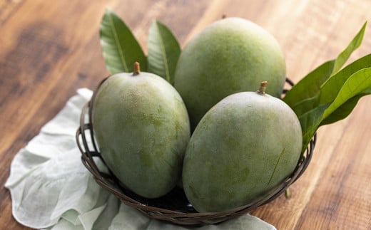 【先行受付】【2025年発送】渡口ファームのこだわりキーツマンゴー約1.5kg - 先行予約 沖縄県産 産地直送 南国フルーツ 旬の味覚 季節の果物 希少種 贈り物 ギフト 沖縄県 八重瀬町